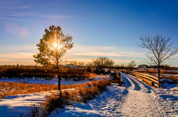 Fototapeta na wymiar winter landscape with a snow-covered path to the bridge, the sun and trees