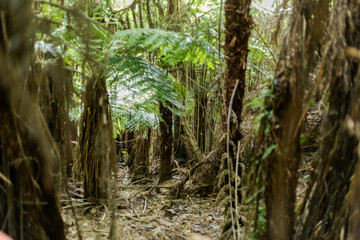 Port Underwood, New Zealand