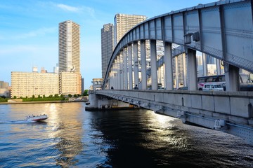 Naklejka premium 勝鬨橋から見える隅田川沿いの高層ビル群 勝鬨橋の下の水面に映るビルのシルエットが印象的だ。