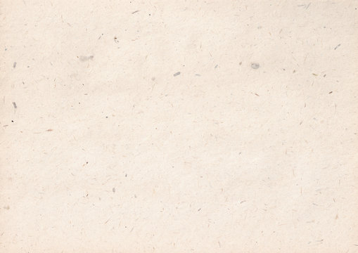 texture of light kraft paper sheet with soft dark brown grain shavings