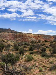 Fototapeta na wymiar A high desert landscape of mesquite and juniper against brilliantly colored cliffs near Abiquiu, New Mexico under a summer sky recalls the paintings of Georgia O'Keeffe.