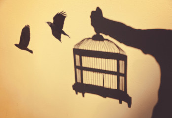 surreal concept being set free with birds flying out of a cage held by a person as shadows on a wall toned with a retro vintage instagram filter