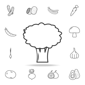 broccoli icon. Set of fruits and vegetables icon. Premium quality graphic design. Signs, outline symbols collection, simple thin line icon for websites, web design, mobile app