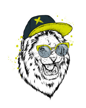 Lion in cap and glasses.