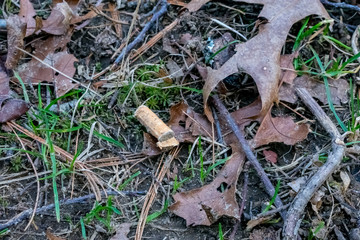 The Great Hill Trails in Bridgewater, Massachusetts