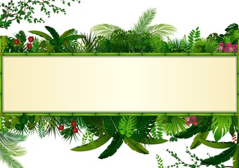 Fototapeta na wymiar Tropical leaves background. Rectangle plants frame bamboo with space for text. Tropical foliage with horizontal banner