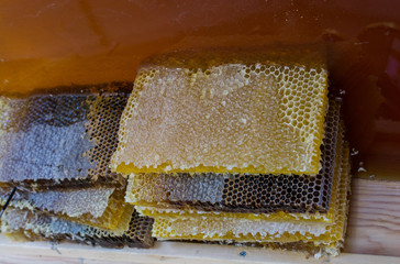 Fresh honey in the sealed comb frame