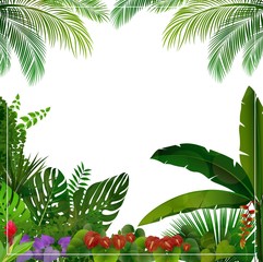 Fototapeta na wymiar Tropical jungle on white background 