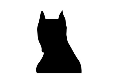 pitbull face silhouette on white background