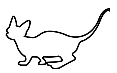 sphynx cat silhouette outline on white background
