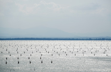 The fishery in a lake in the country, Thailand  