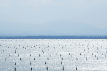 The fishery in a lake in the country, Thailand  
