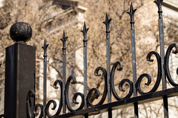 Wrought Iron fence