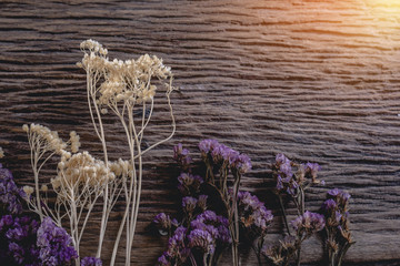 dried flowers on wooden planks background