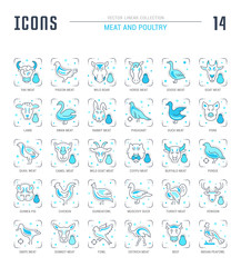 Set Blue Line Icons of Meat and Poultry.