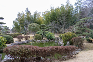 Akebono mountain agricultural park in Kashiwa city, Chiba, Japan. / Akebono Mountain Agricultural Park is a municipality park in Kashiwa city, Chiba Prefecture. Cherry blossoms are famous and crowded 