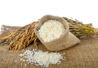 white rice (Thai Jasmine rice) and unmilled rice