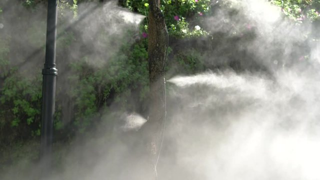 Fog water or mist spray nozzle setup on tree for watering plant at flower garden