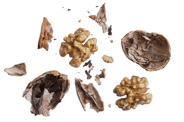 A cracked walnut on a white background close-up. Walnut shell. Healthy organic food. Isolate.
