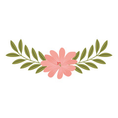 cute flower and branch with leaves foliage decoration vector illustration