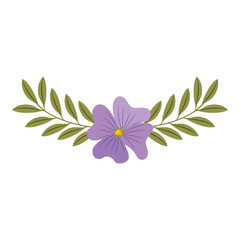 cute flower periwinkle and branch with leaves foliage decoration vector illustration