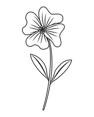 cute flower periwinkle petals leaves stem icon vector illustration outline desing