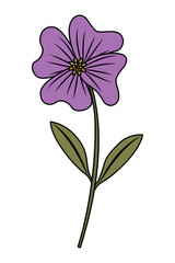 cute flower periwinkle petals leaves stem icon vector illustration