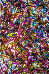 Flower Petal Multicolor Background Texture