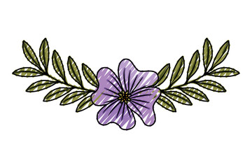 cute flower periwinkle and branch with leaves foliage decoration vector illustration drawing image