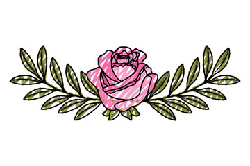 cute flower rose and branch with leaves foliage decoration vector illustration drawing image