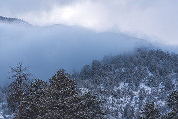 Fog covering snowy landscape