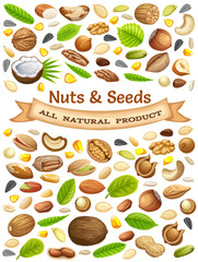 Poster seeds sunflower, pumpkin, and corn. Nuts cashew, brazilian nut, coconut, cedar, hazelnut, cashew, almonds, walnut, nutmeg, pecan, peanut, macadamia, pistachio.