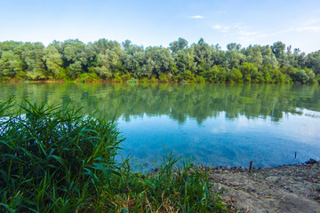 Riverbank of calm Danube river with green trees in spring or summer at the setting sun. Ukraine