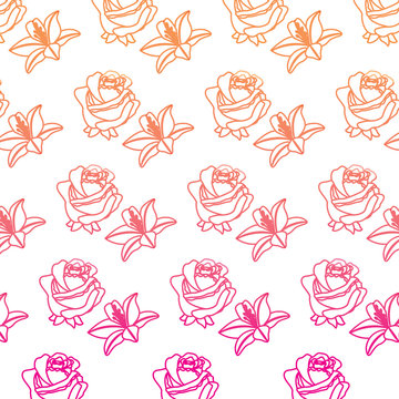 rose and lily flower decorative pattern background vector illustration degrade color line image