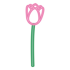 flower tulip natural decoration floral vector illustration neon pink and green line image