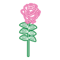 delicate flower rose stem leaves nature decoration vector illustration neon pink and green line image