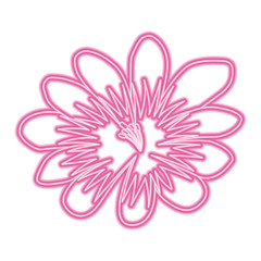 flower delicate decoration floral nature petals vector illustration neon pink line image