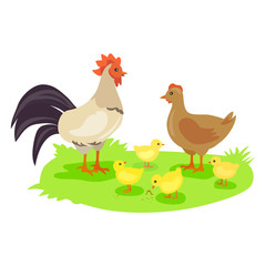chicken family. Rooster, hen and chickens