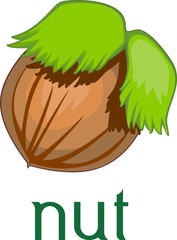 Hazelnut with title on white background