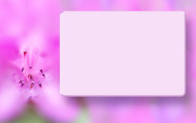 Mock up border with pink azalea, light box and blurred bokeh background, soft focus, macro. Spring, summer floral background. Template for greeting cards, postcards, scrapbook, invitations, flyers