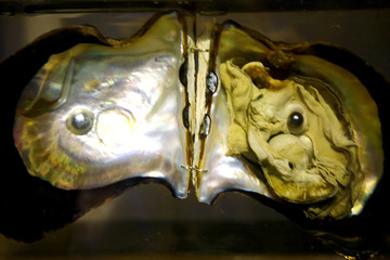Pearl in the open shell