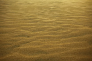 Texture sand in the desert