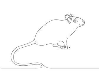continuous line drawing rat mouse