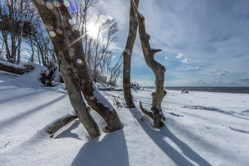 winter am meer