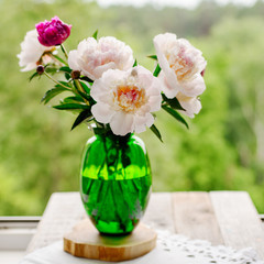 beautiful fresh peonies