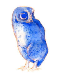 Hand drawn watercolor sketch of owl.