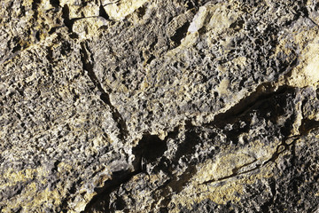 Fototapeta premium texture of old stone