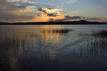 Fototapeta na wymiar Winter landscape with frozen river reeds and sunset sky.