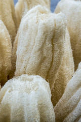 Loofah in the market