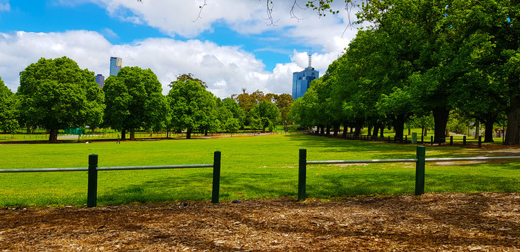 Beautiful Park and Blue Sky